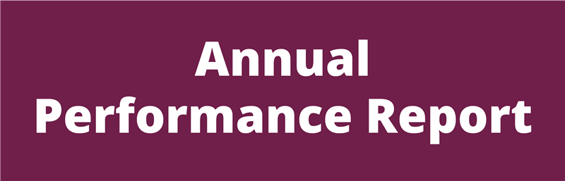 annual performance report button 